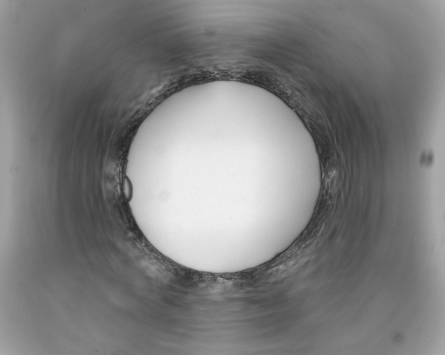 X0000091070772200709041219
