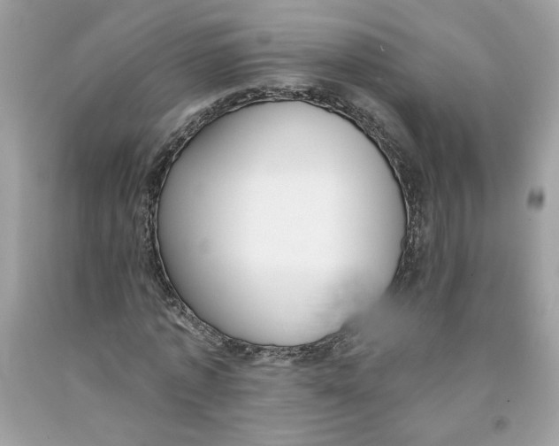 X0000091070773200709041218