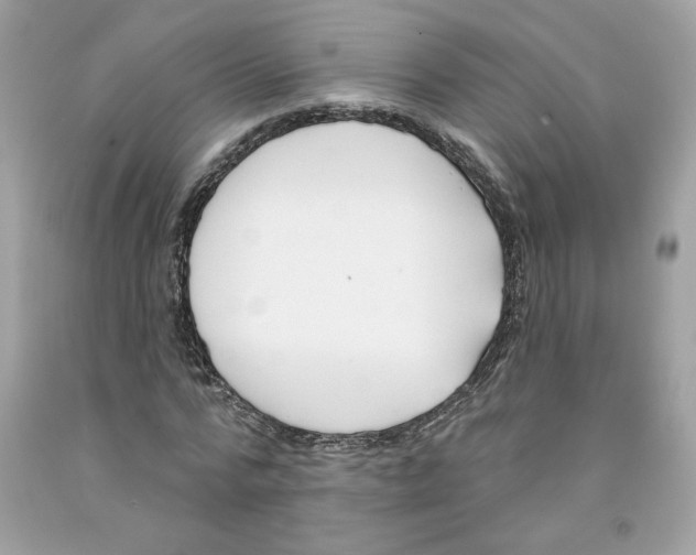 X0000091070776200709041218
