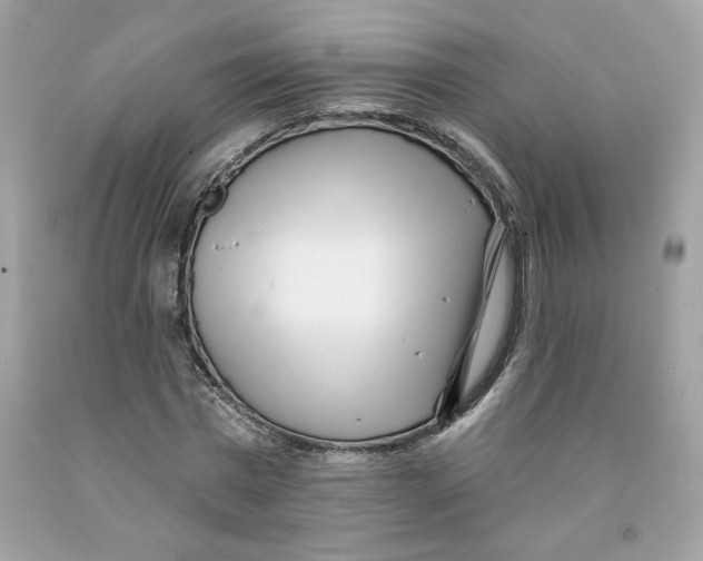X0000091070777200709041218