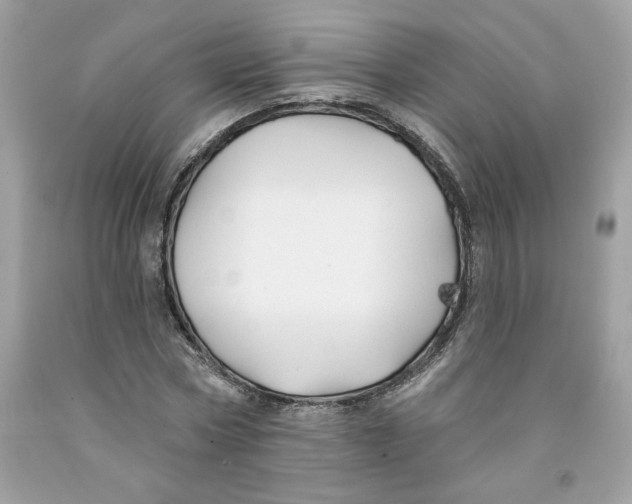 X0000091070778200709041218