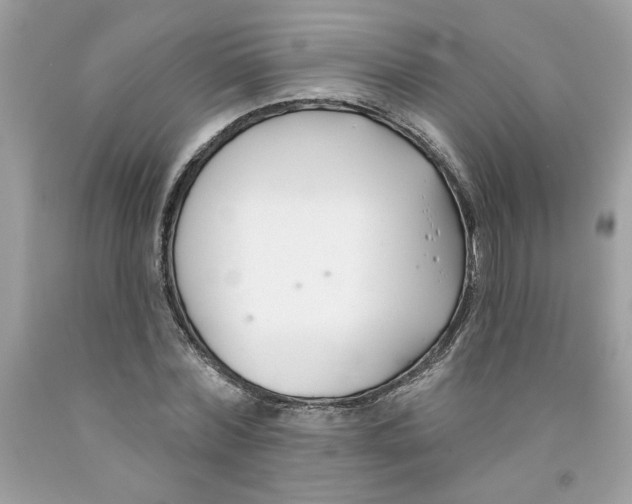 X0000091070780200709041218