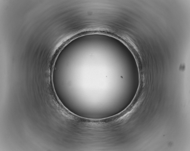 X0000091070781200709041218