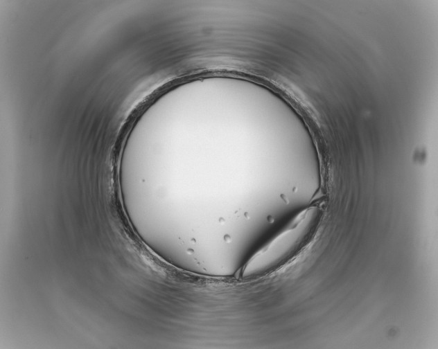 X0000091070782200709041218