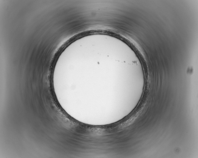 X0000091070783200709041218