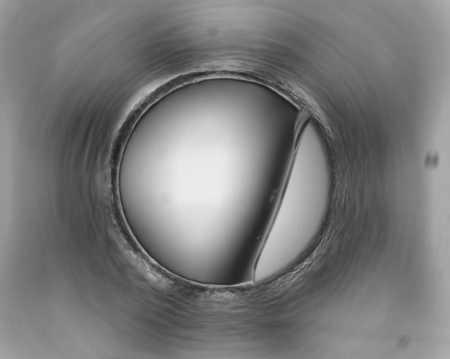 X0000091070784200709041218