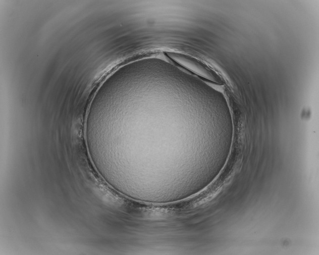 X0000091070785200709041218