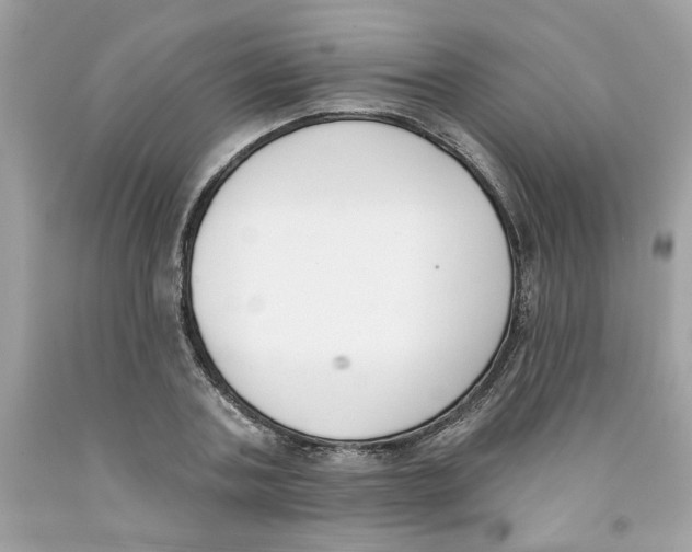 X0000091070787200709041218