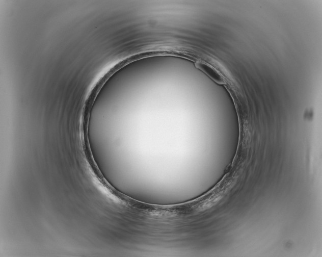 X0000091070788200709041218
