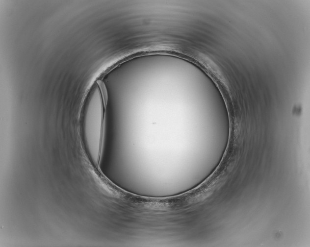 X0000091070789200709041218