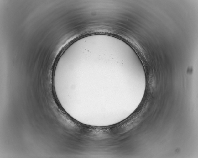 X0000091070790200709041218