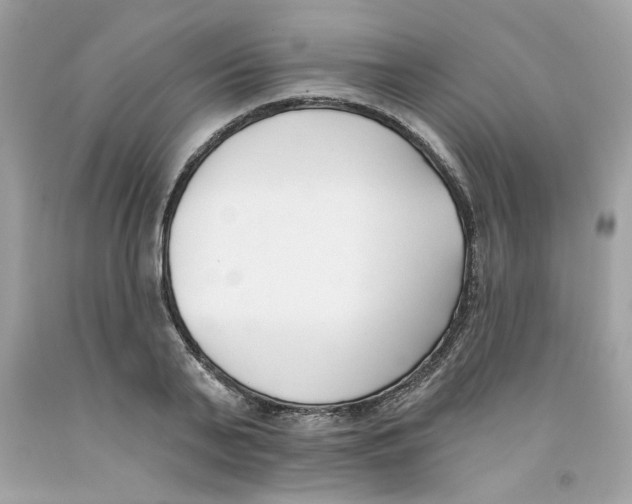 X0000091070791200709041218