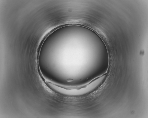 X0000091070792200709041218