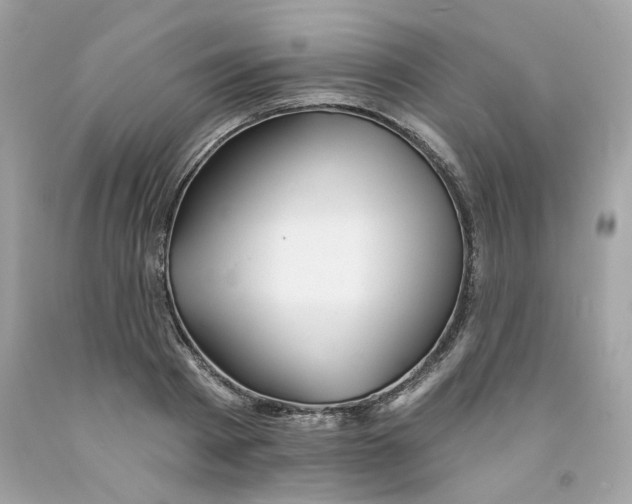X0000091070793200709041218