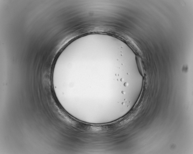 X0000091070794200709041218