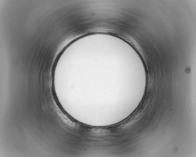 X0000091070795200709041218