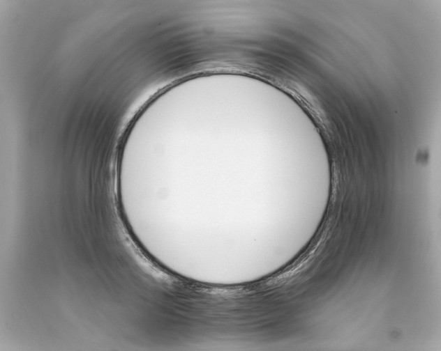X0000091070796200709041218