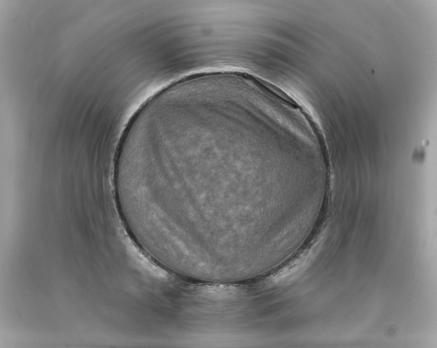 X0000091070797200709041218