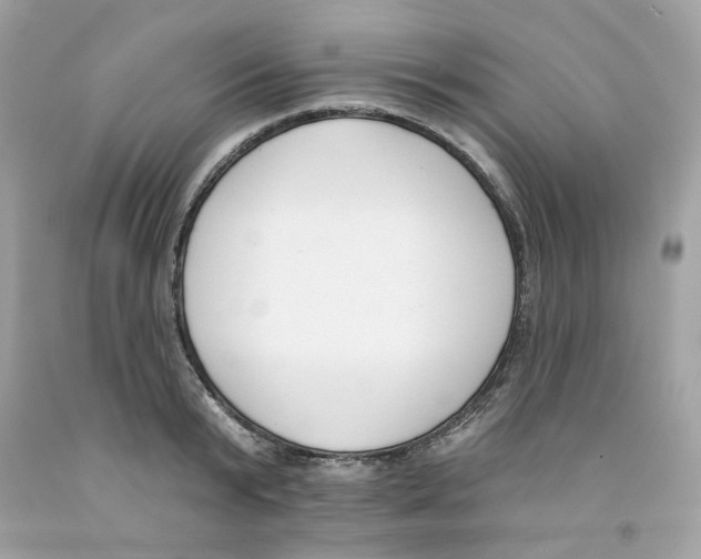 X0000091070799200709041218