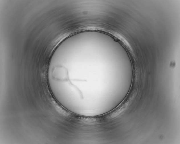 X0000091070801200709041218