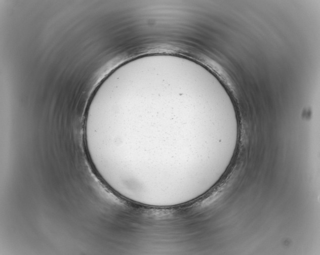 X0000091070802200709041218