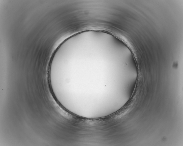 X0000091070803200709041218