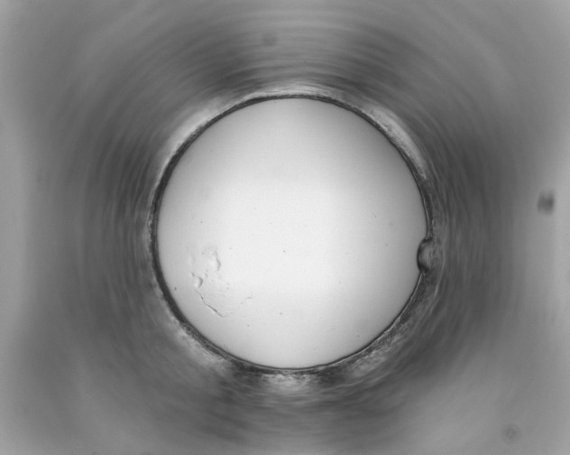 X0000091070805200709041218