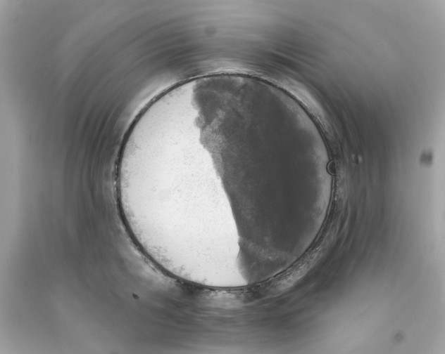 X0000091070806200709041218