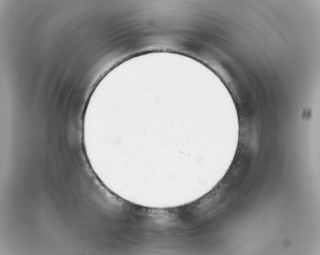 X0000091070807200709041218