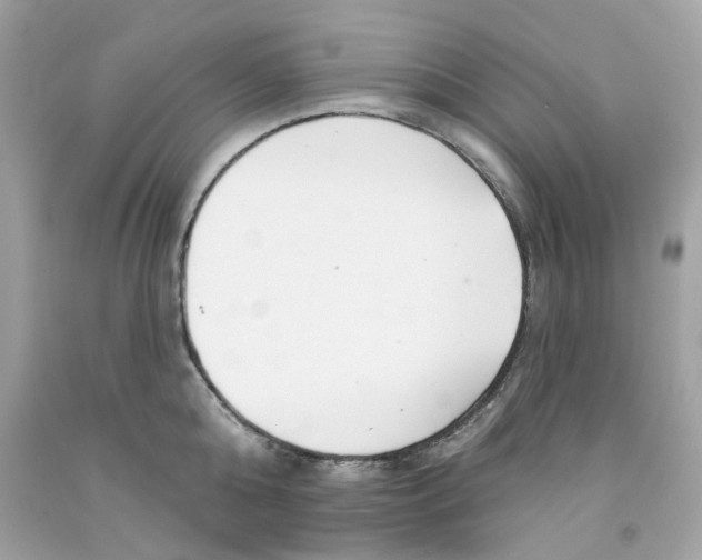X0000091070808200709041218