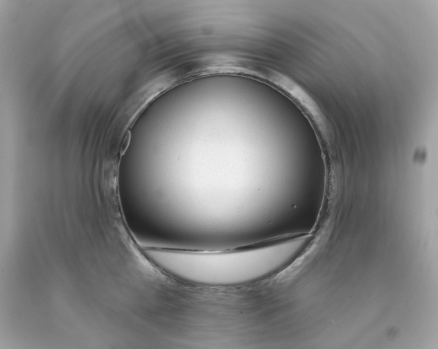 X0000091070809200709041218