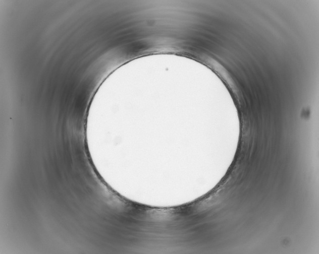 X0000091070810200709041218