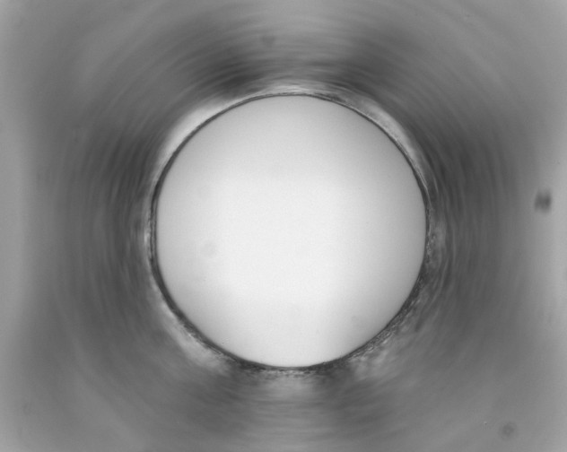 X0000091070811200709041218