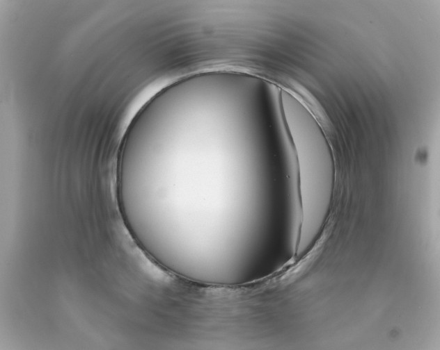X0000091070812200709041218