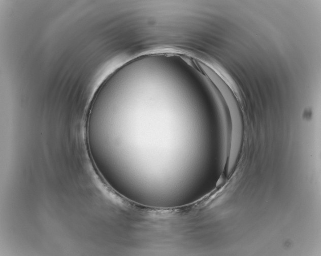 X0000091070813200709041218