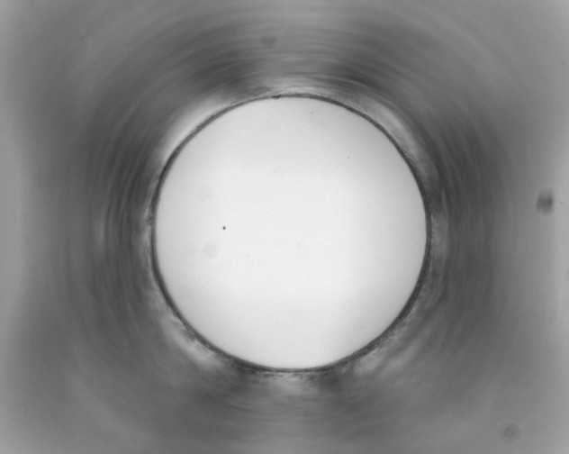 X0000091070814200709041218