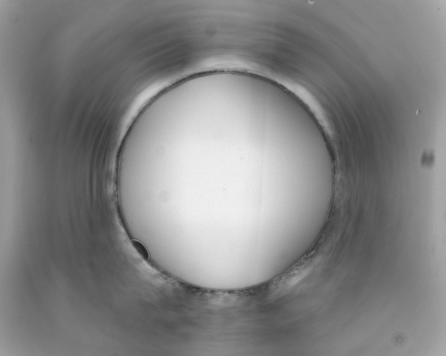 X0000091070815200709041218