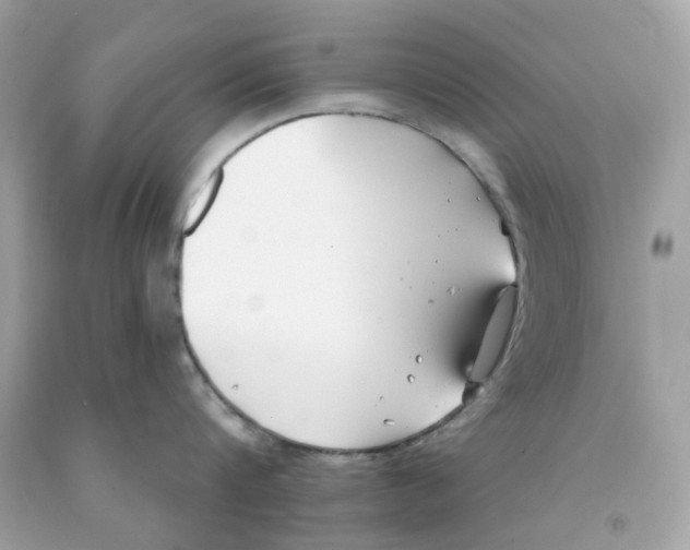 X0000091070816200709041218