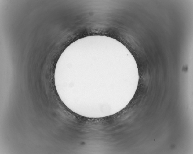 X0000091070817200709041217