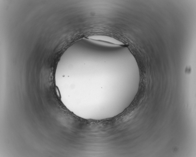 X0000091070818200709041217