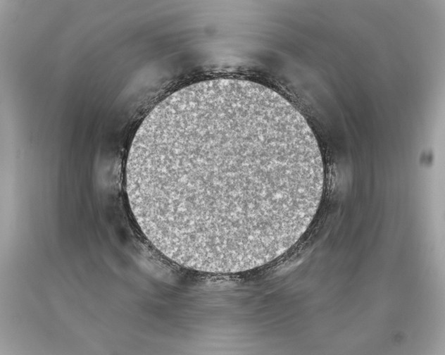 X0000091070820200709041217