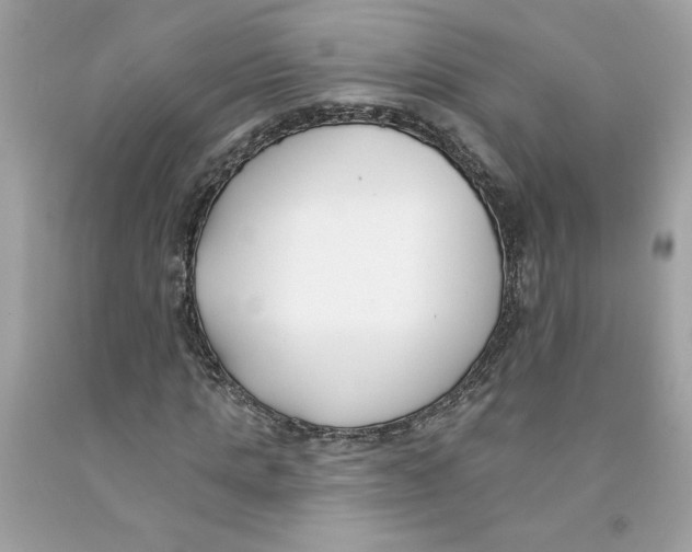 X0000091070821200709041217