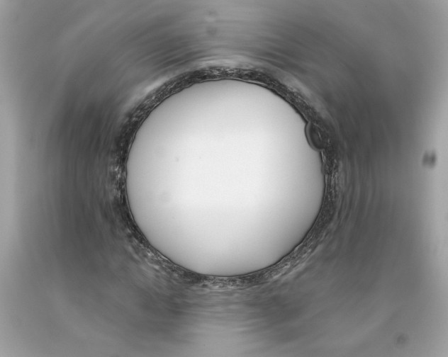 X0000091070822200709041217