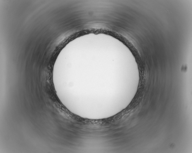 X0000091070823200709041217