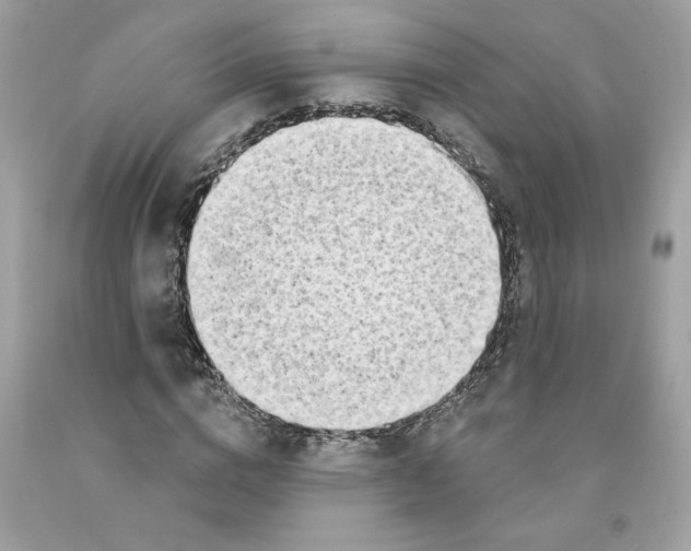 X0000091070824200709041217