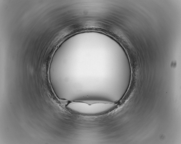 X0000091070825200709041217