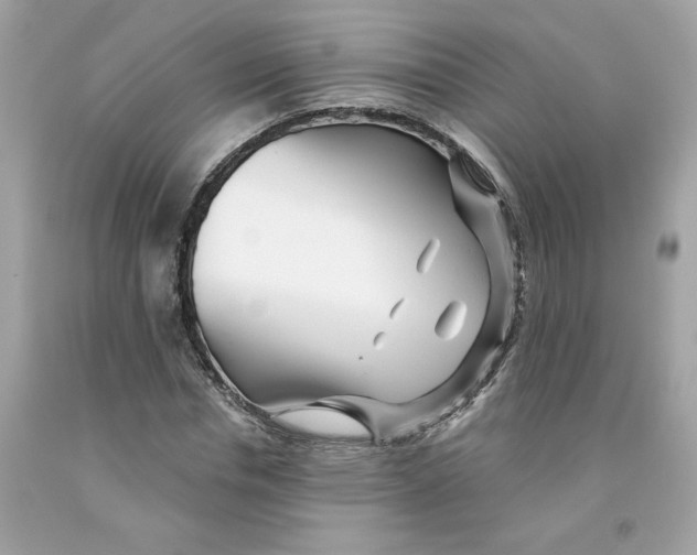 X0000091070826200709041217