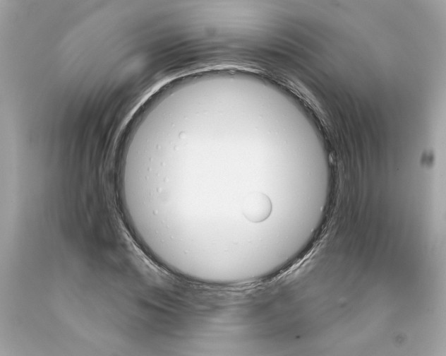 X0000091070828200709041217