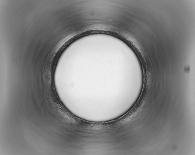 X0000091070829200709041218