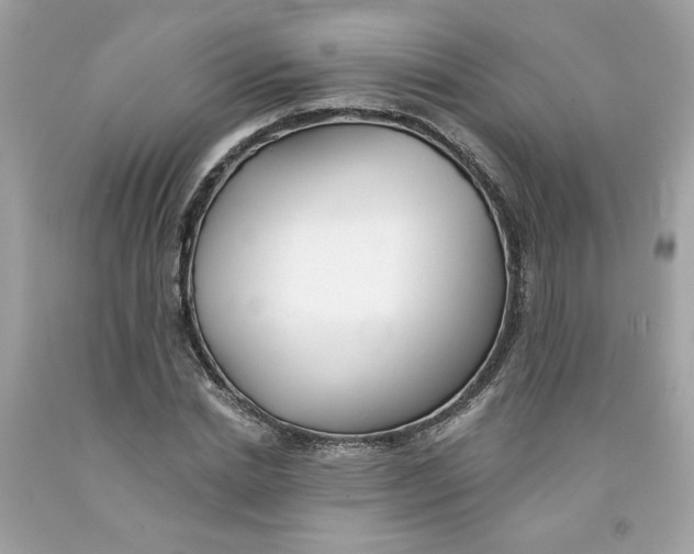 X0000091070830200709041218